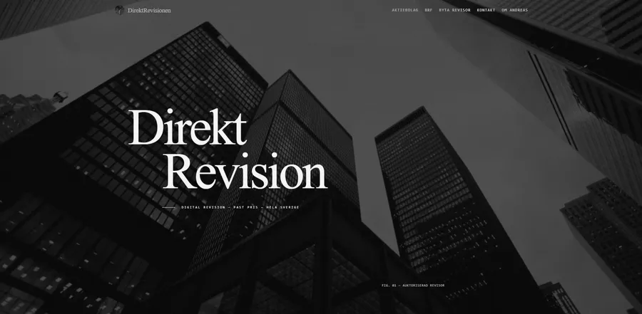 Direktrevision.se hemsida